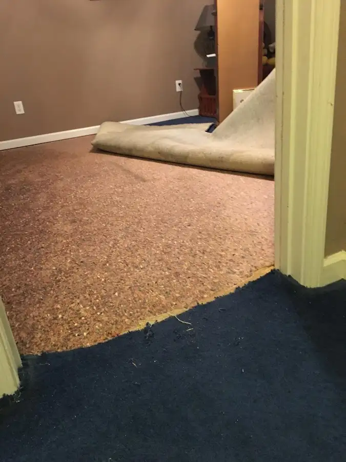 Carpet pad removal revealing water damage during Water Mitigation Services in Leesburg